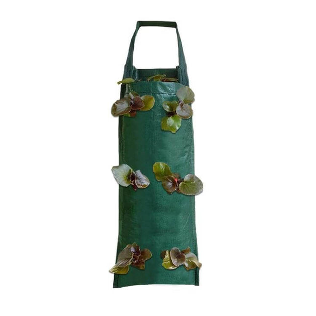 Multi-Port Grow Bags For Hanging Plants, 10-Port Home Garden vertical green 10-port hanging planter with herbs and flowers