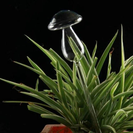 Mushroom Shape Glass Self Watering Plant Waterer for Home Plants placed in a spider plant on a windowsill, borosilicate glass mushroom waterer