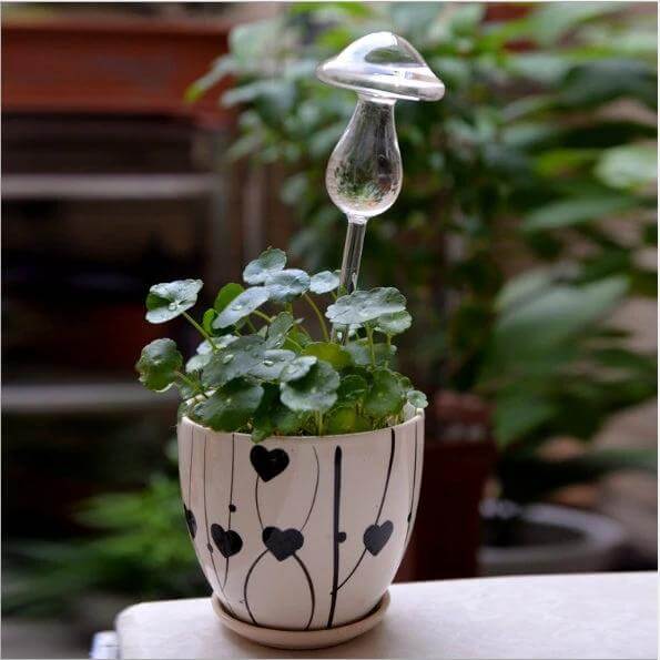 Mushroom Shape Glass Self Watering Plant Waterer for Home Plants placed in decorative pot on windowsill, borosilicate glass self-watering mushroom for indoor plants