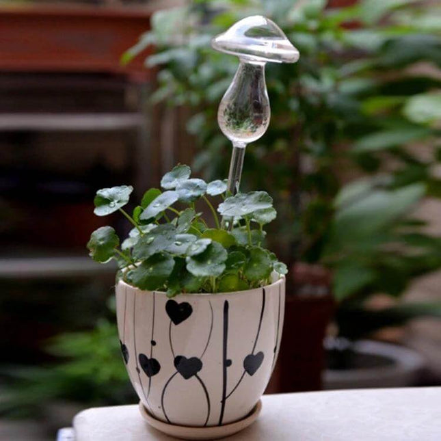 Mushroom Shape Glass Self Watering Plant Waterer for Home Plants placed in a decorative pot to keep indoor herbs and small plants hydrated