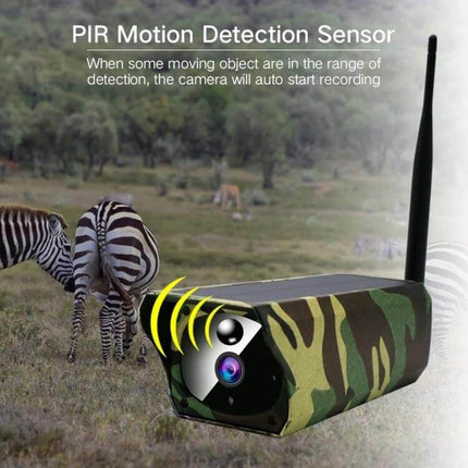 VESAFE Solar-Powered IP Camera for Outdoor Wildlife Monitoring showing camo camera with PIR motion detection near zebras