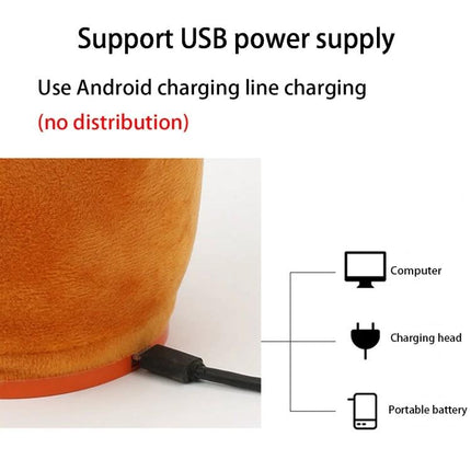 Adorable Plush Toy for Children's Daily Music Fun at Home showing USB charging port connected to cable and USB power sources