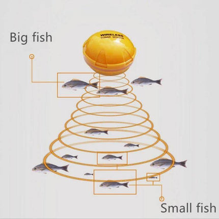 Bluetooth Fish Detector With 125KHz Sonar For iOS And Android showing floating sonar buoy scanning big and small fish under water