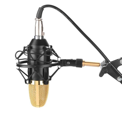 Fifine Microphone for Daily Home Recording and Broadcasting black condenser mic with gold capsule on desk arm and shock mount