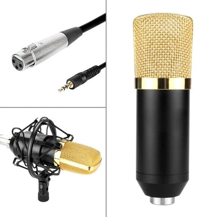 Fifine Microphone for Daily Home Recording and Broadcasting condenser mic with gold grille, desk setup, XLR to 3.5mm cable, and shock mount