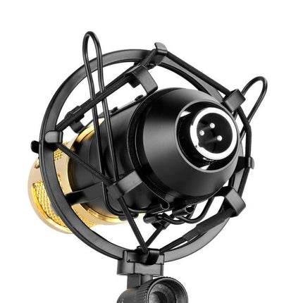 Fifine Microphone for Daily Home Recording and Broadcasting — gold condenser mic on shock mount for podcasting and desktop streaming