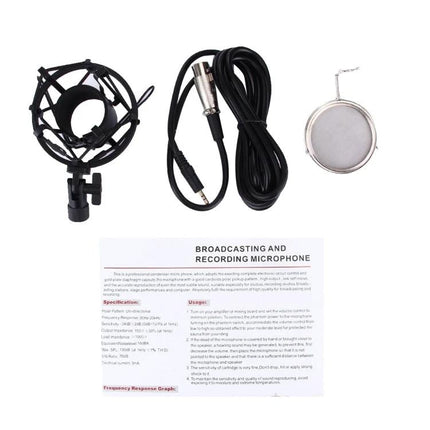 Microphone for Everyday Home Recording and Karaoke Use - condenser mic kit with shock mount, XLR cable, pop filter and manual