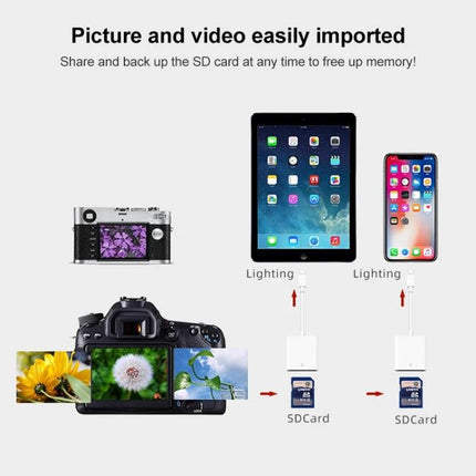 Compact SD Card Reader for Mobile Data Transfer on the Go - plug-and-play 8-pin reader showing camera to tablet and phone photo transfer