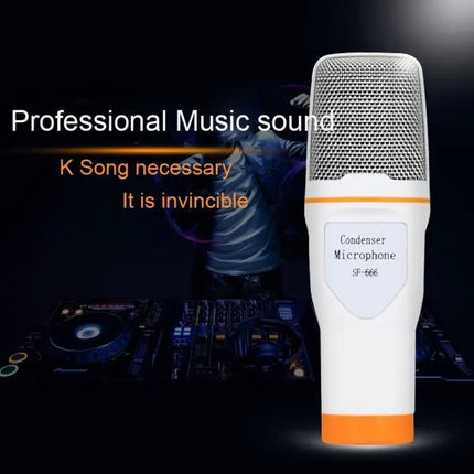 Condenser Microphone For Live Streaming And KTV On PC