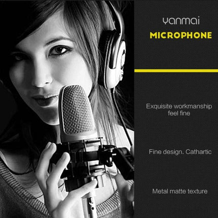 Mic for Daily Video Calls and Live Broadcasts at Home - condenser studio mic with pop filter and headphones for clear voice and reduced background noise