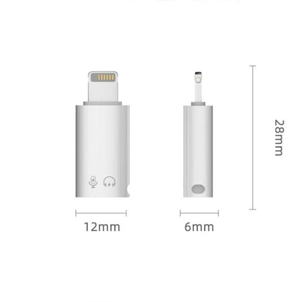 Compact USB-C Adapter for Everyday Device Connections On the Go - slim aluminum 28mm x 12mm/6mm charging and data adapter