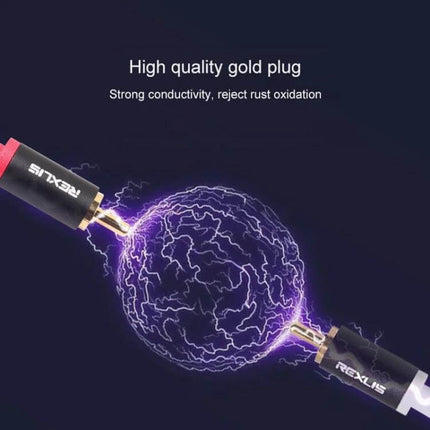 REXLIS 1-Meter Audio Cable for Connecting Devices to Speakers with gold-plated 3.5mm to RCA connectors, tinned copper for clear stereo sound