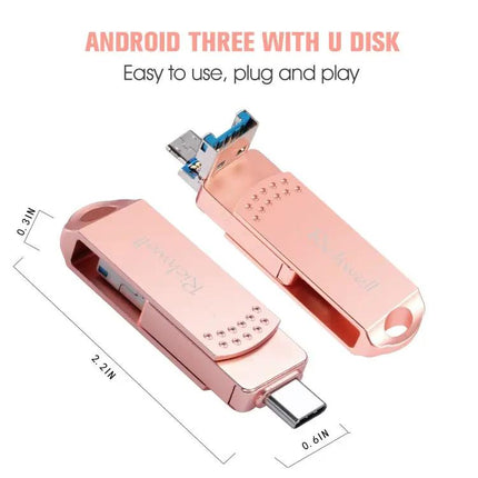 Richwell USB Drive for Everyday File Storage and Transfer
