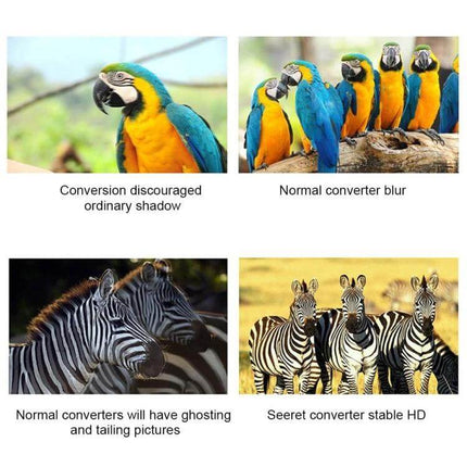 SEETEC HDMI to Dual SDI Output Converter for Video Use showing comparison images of parrots and zebras demonstrating stable HD vs blur and ghosting