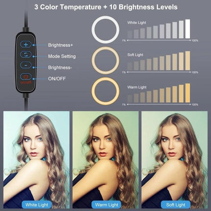 PULUZ Kit for Home Vlogging and Daily Video Sessions LED ring light showing 3 color temperatures and 10 brightness levels with remote control