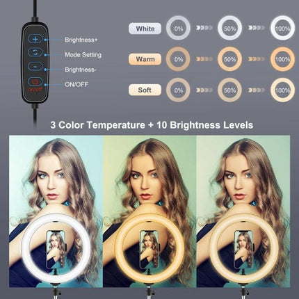 PULUZ Ring Light for Daily Vlogging and Home Video Calls showing 3 color temperatures and 10 brightness levels with remote control
