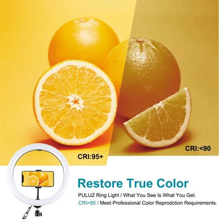 PULUZ Aluminum Tripod for Daily Vlogging and Travel with ring LED light showing true color reproduction and phone mount for steady videos