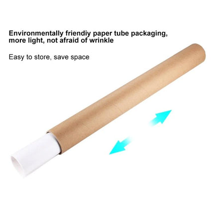 PULUZ Collapsible Photography Background in 6 Colors, 80cm x 40cm - rolled paper tube packaging shown for easy storage and wrinkle protection