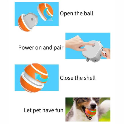 O1 Interactive Ball for Pet Playtime and Training at Home