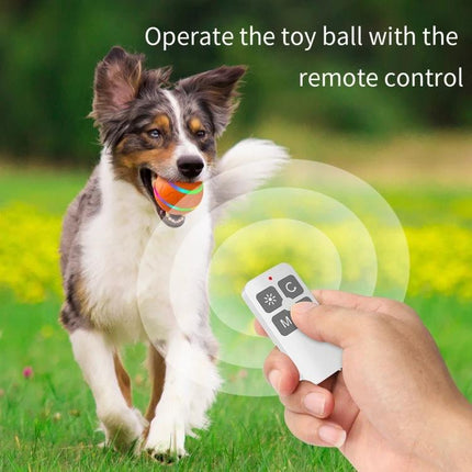 O1 Interactive Ball for Pet Playtime and Training at Home