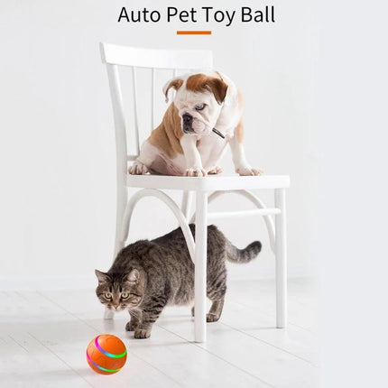 Luminous Ball for Pets' Everyday Training and Play at Home - orange luminous pet ball with cat and puppy playing indoors