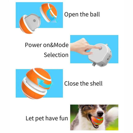 Luminous Ball for Pets' Everyday Training and Play at Home - orange interactive training ball with open shell, power mode button, close shell, dog playing