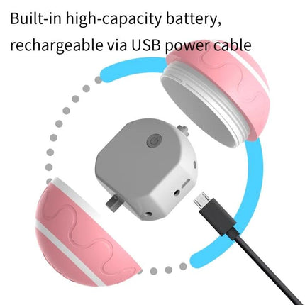Luminous Ball for Pets' Everyday Training and Play at Home showing USB-rechargeable built-in battery and detachable shell