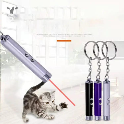 Fun Laser Pointer for Everyday Play with Pets and Kids