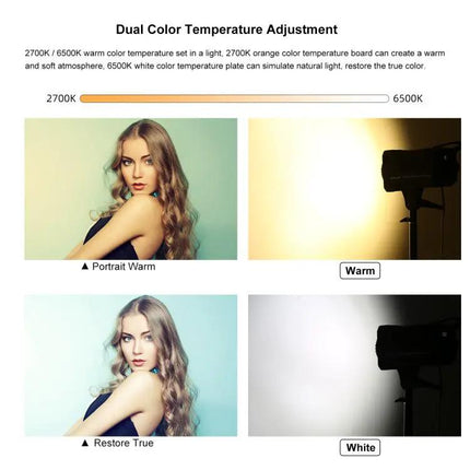 PULUZ Adjustable Color Temperature Studio Video Light