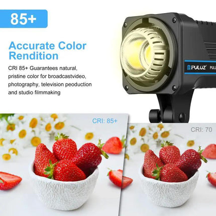 PULUZ Adjustable Color Temperature Studio Video Light