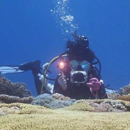 PULUZ Dual Handle Aluminum Tray for Underwater Photography mounted on diver camera rig with strobe capturing reef close-ups