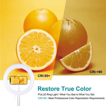 PULUZ Ring Light for Daily Vlogging and Selfies at Home