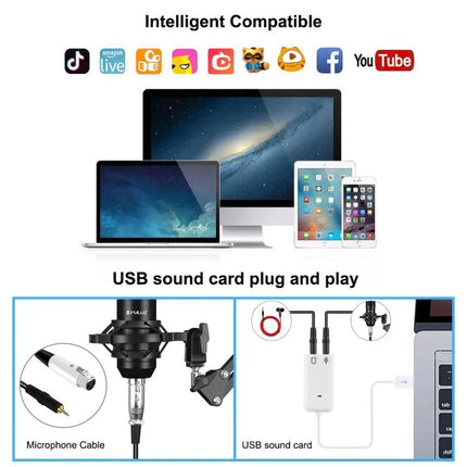PULUZ Microphone Kit for Home Recording and Daily Podcasts