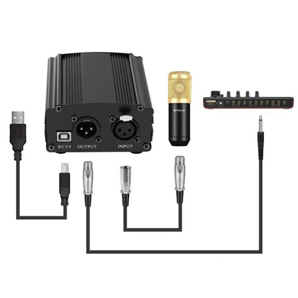 PULUZ Microphone Kit for Daily Home Recording Sessions with gold condenser mic, shock mount, pop filter and scissor arm stand