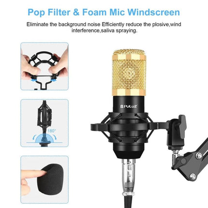 PULUZ Microphone Ideal for Daily Home Recording Tasks gold condenser with shock mount pop filter and foam windscreen