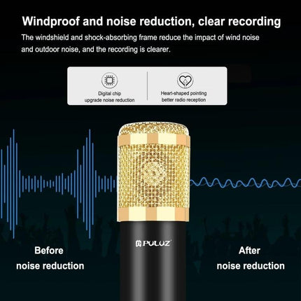 PULUZ Microphone Ideal for Daily Home Recording Tasks - gold condenser mic with windproof mesh and noise reduction for clear podcast and meeting audio