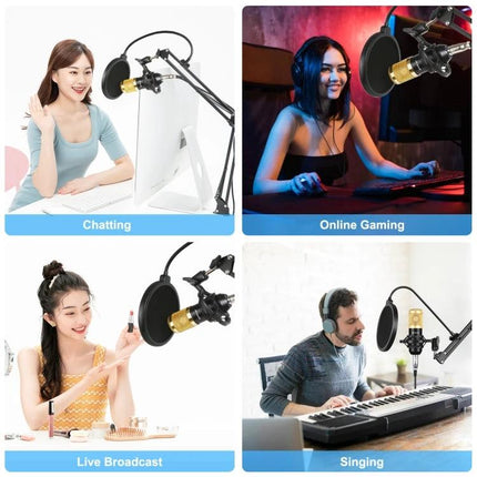 PULUZ Microphone Ideal for Daily Home Recording Tasks — condenser mic setup for podcasting, streaming, singing and online meetings