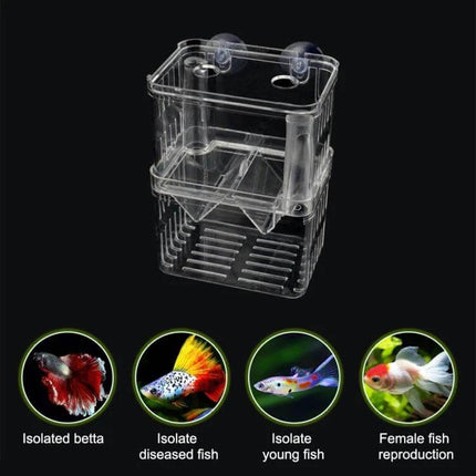 Peacock Fish Breeding Isolation Box Double Layer For Spawning - clear double-layer floating PS plastic breeder box with suction cups for isolating and protecting fry