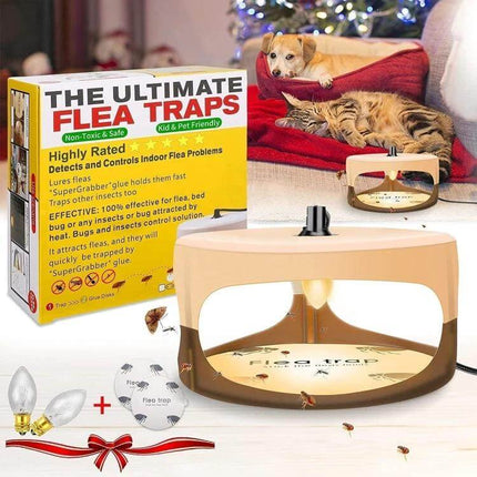 Pet Flea Lamp Trap Set With 8 Regional Plugs For Home Use - two non-toxic light traps near pet bedding to capture fleas indoors