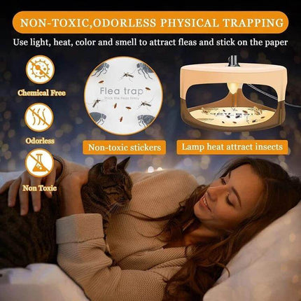 Pet Flea Lamp Trap Set With 8 Regional Plugs For Home Use - non-toxic indoor flea lamp trap near pet bed, rugs, two-piece set