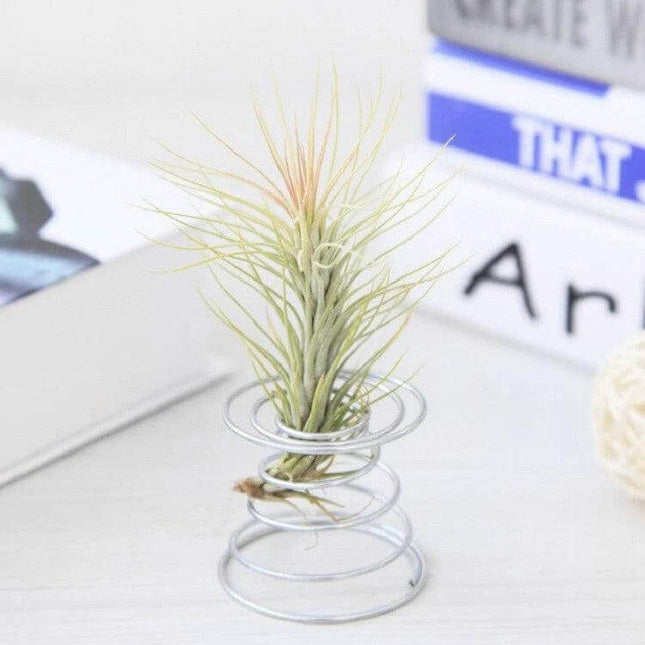 Pineapple Rooting Holder For Air Plants Silver Home Decor — compact silver stainless steel pineapple stand displaying a small air plant on a desk