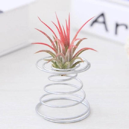 Pineapple Rooting Holder For Air Plants Silver Home Decor - compact silver stainless steel spiral stand displaying small air plant on desk
