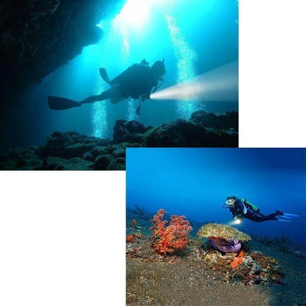 Purple UV Light Waterproof Flashlight For Outdoors being used by scuba divers to inspect reef and gear underwater