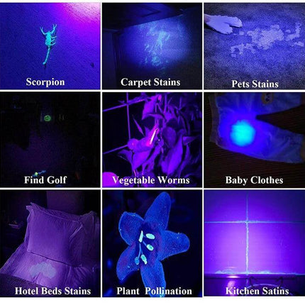 Rechargeable Lantern With 4 Lighting Modes For Home And Outdoors showing UV uses: detecting stains, scorpion, plant pollination, baby clothes and more