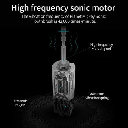 Rechargeable Ultrasonic Soft Bristle Toothbrush With 6 Modes 4 Heads showing high-frequency sonic motor and internal ultrasonic engine diagram