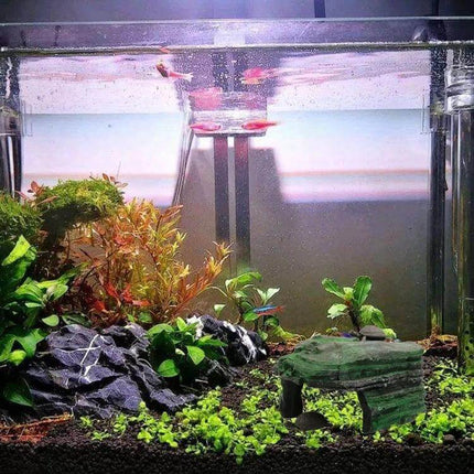 Resin Turtle Sunbed Table For Fish Tank And Desk Decor - lifelike green resin turtle hiding cave and sunbed in planted aquarium