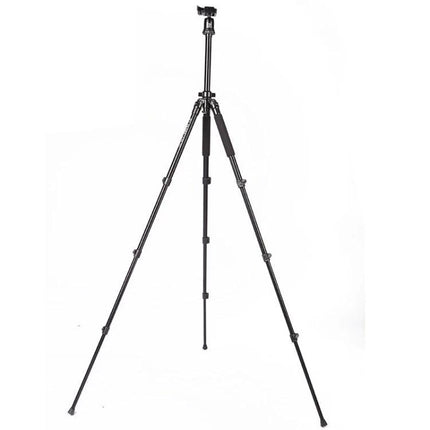 Triopo Adjustable Portable Aluminum Tripod for Cameras shown extended with adjustable legs and quick-release head for stable outdoor and indoor shooting