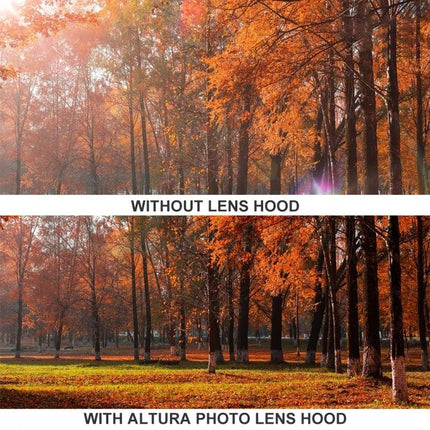 Lens Hood for Canon EF 28-200mm Lenses, Shields from Stray Light and Debris - comparison photo showing reduced flare and clearer autumn forest with hood