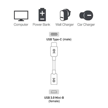 Essential Adapter for Daily USB-C to Mini USB Connections connecting USB Type-C male to USB 3.0 Mini-B female for charging and file transfer