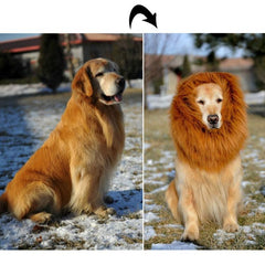 Majestic Lion Mane Wig for Large Dogs and Cats - Festival Costume Accessory